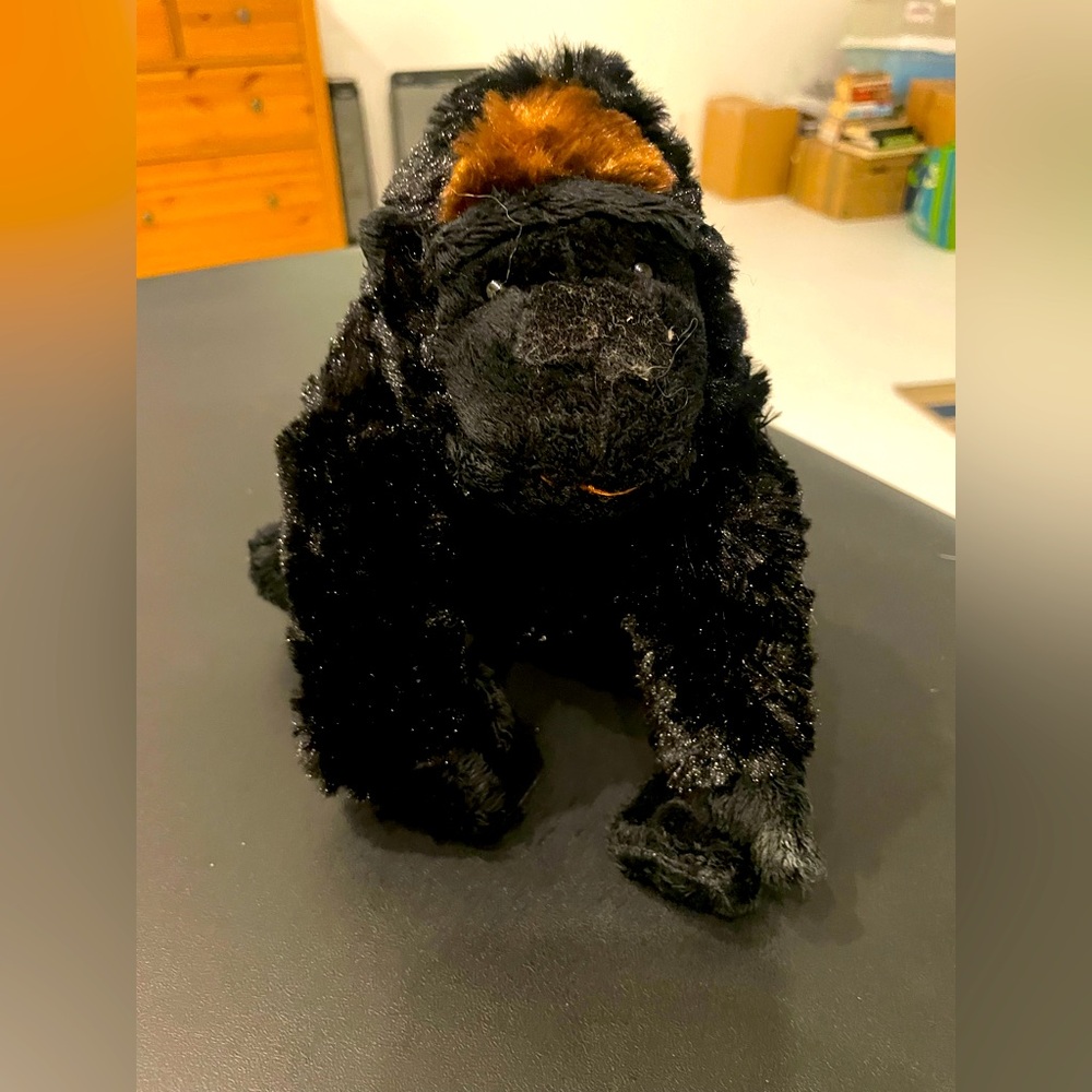 GANZ Gorrilla- Black and Brown (no code)